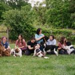 559527753 1240600141418924 6512366058613257636 n 150x150