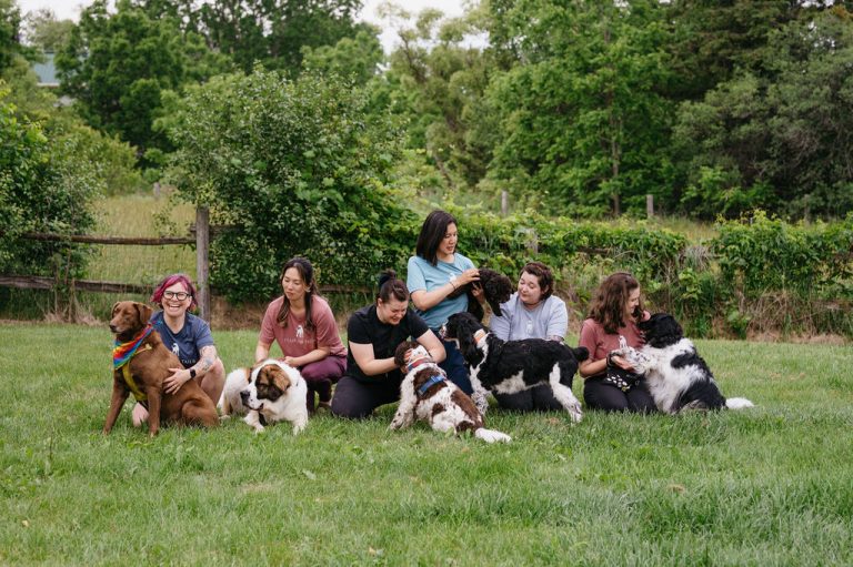 559527753 1240600141418924 6512366058613257636 n 768x511