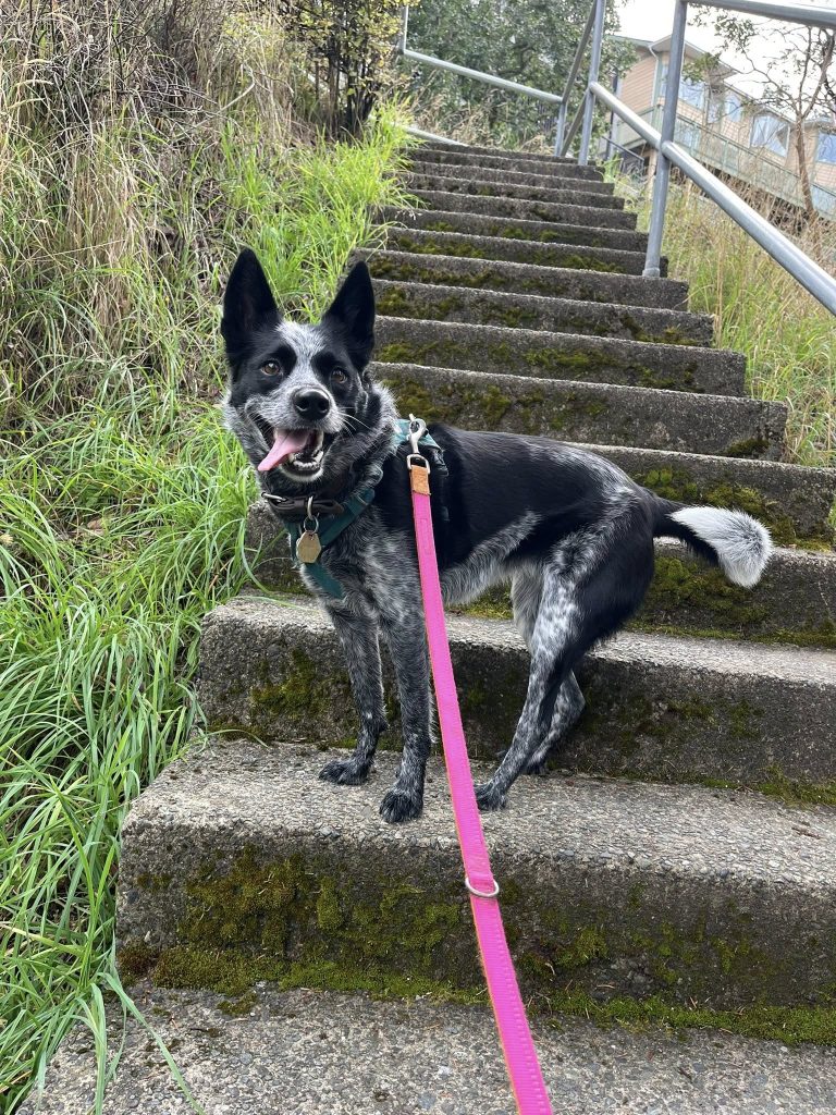 574461447 122110573557011573 2110867933900112044 n 768x1024