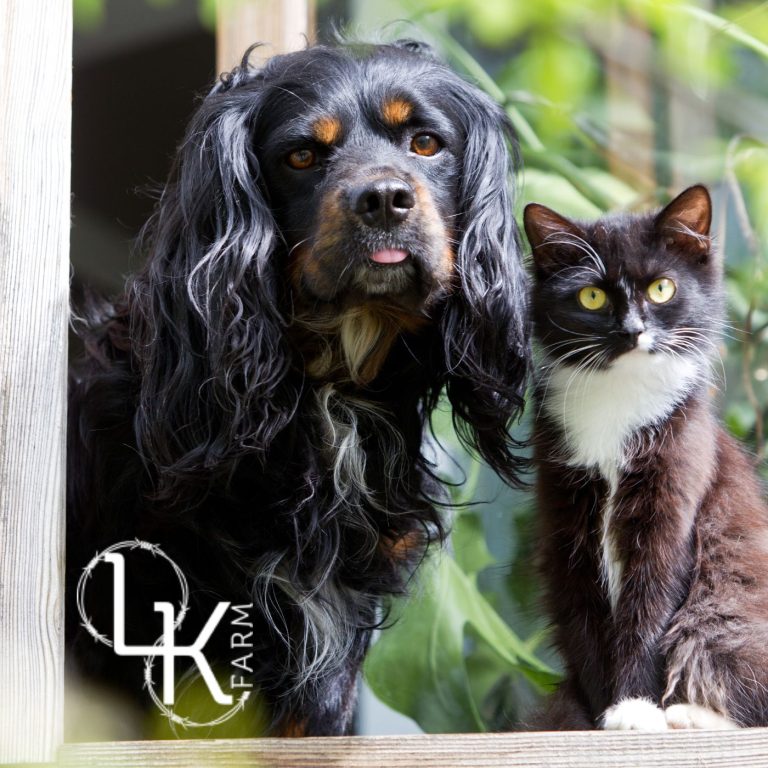 Aesthetic woman with my self song album cover 768x768