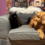 Screenshot 2025 11 02 at 8.02.49 AM 150x150