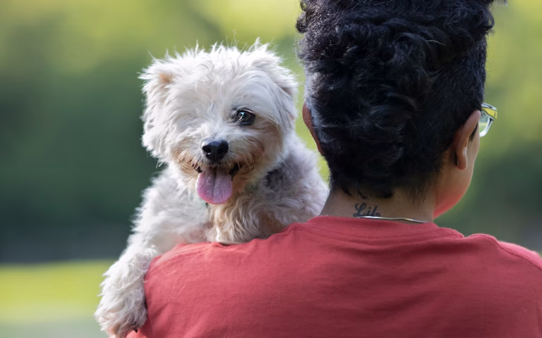 e586b2 9d49046a08164af7b1cd728873aab7b3mv2 768x480