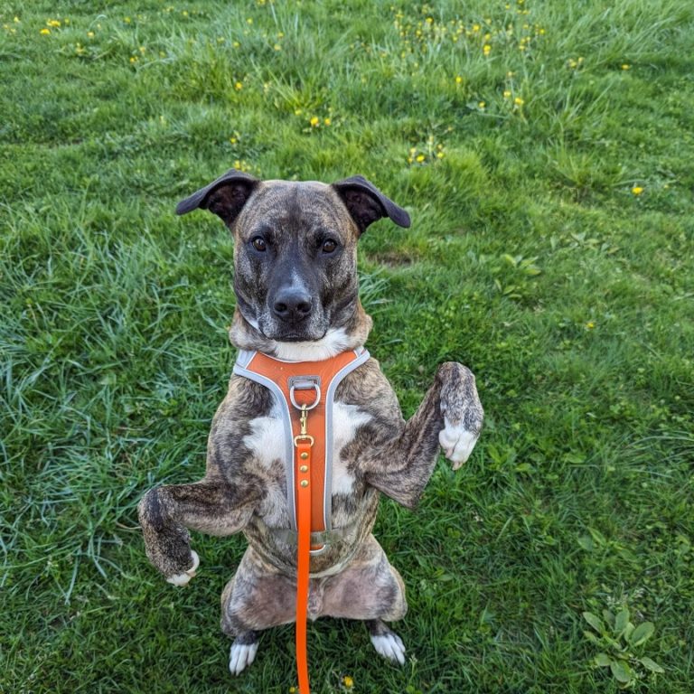 eacfecee 31f8 43d7 a652 3fdc2e36eba5 1 all 35283 768x768