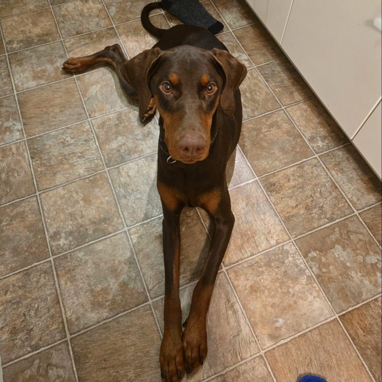 eacfecee 31f8 43d7 a652 3fdc2e36eba5 1 all 36011 768x768