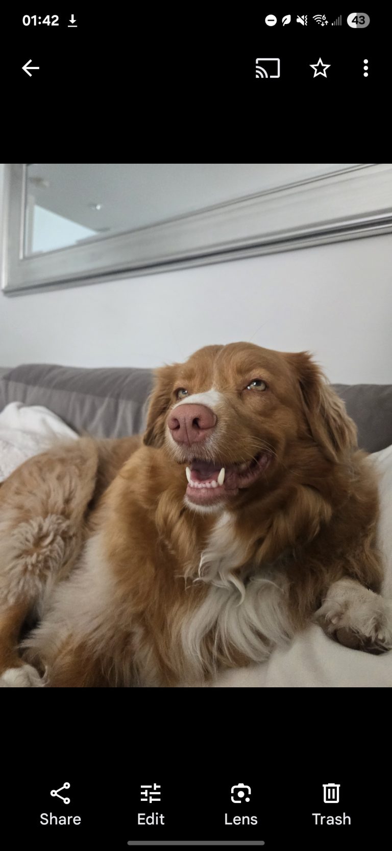 eacfecee 31f8 43d7 a652 3fdc2e36eba5 1 all 50601 768x1664