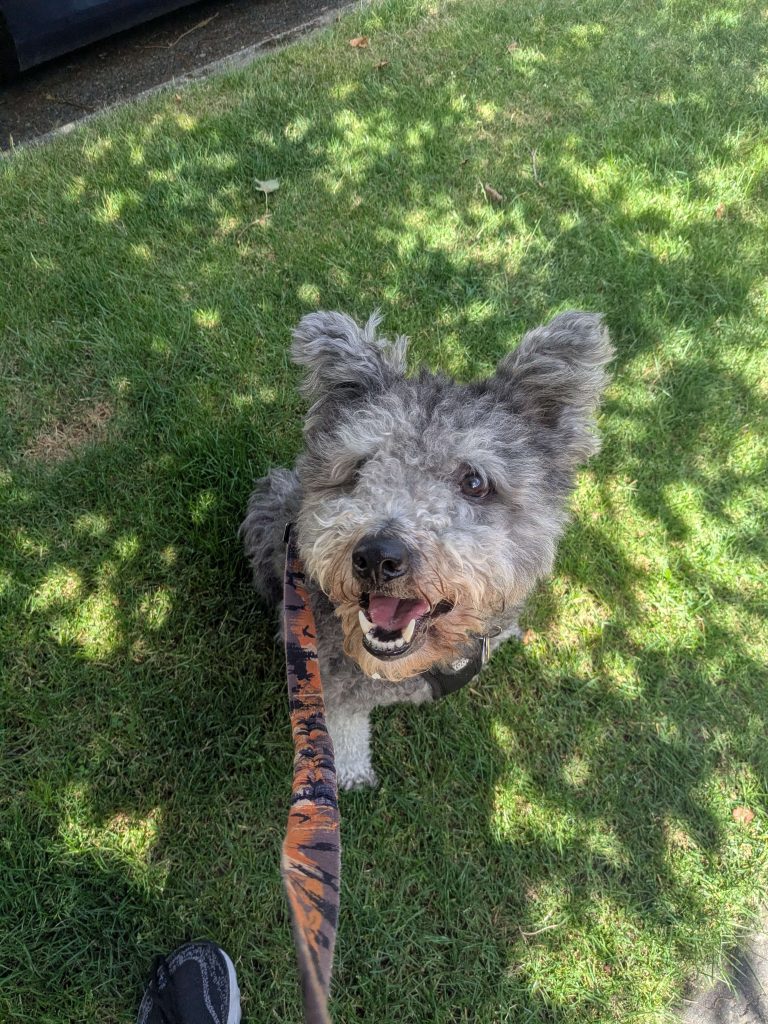 eacfecee 31f8 43d7 a652 3fdc2e36eba5 1 all 51402 768x1024