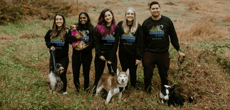 northern paws dog walking calgary airdrie 768x369