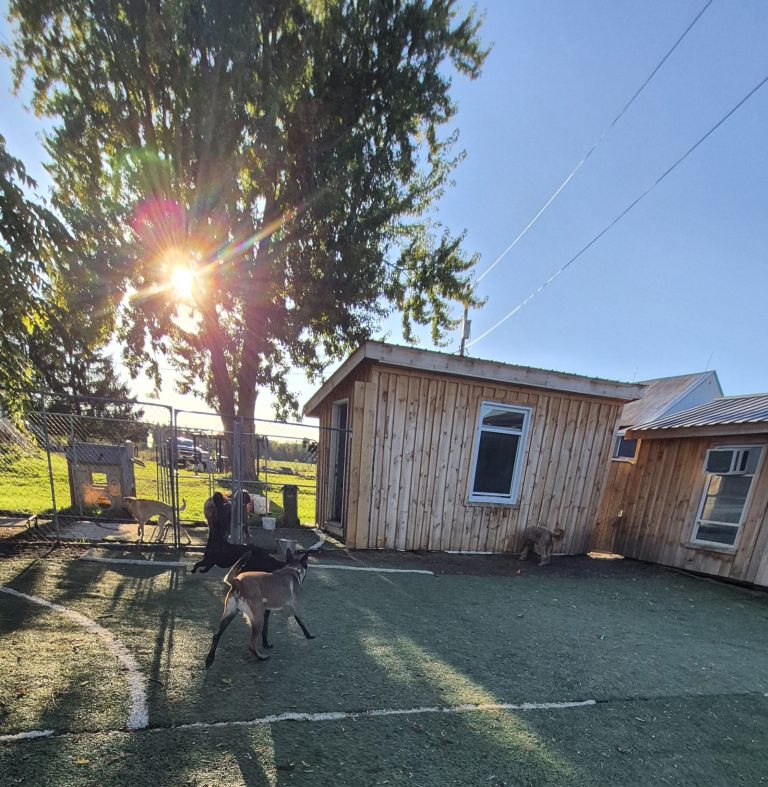 20251009 170157 1 768x787