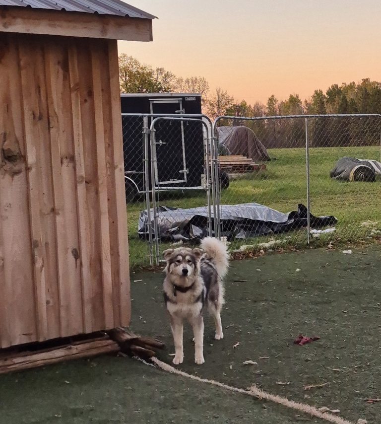 20251012 181614 768x854