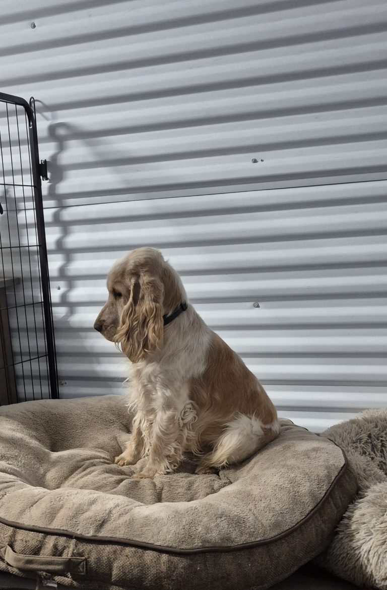 20251202 183407 768x1170