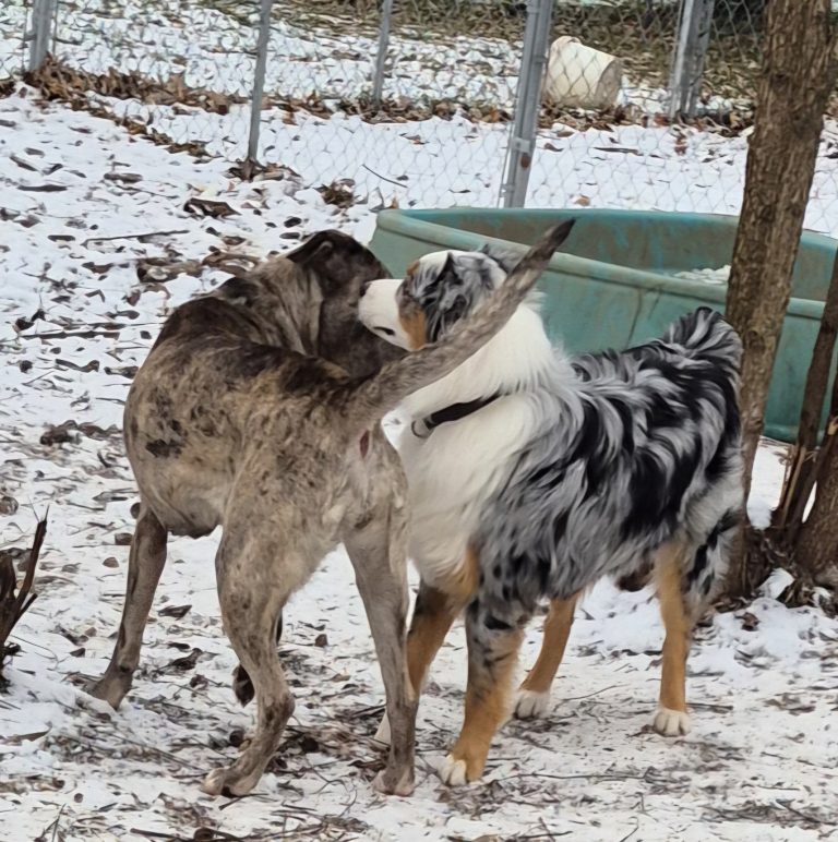 20251203 125930 768x772