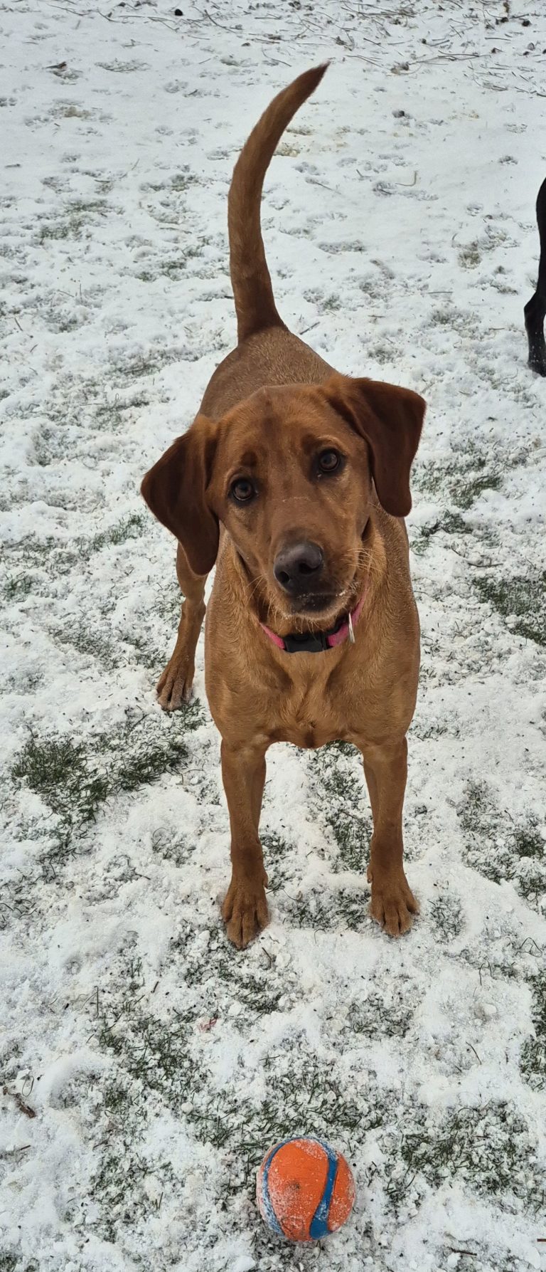 20251207 081711 768x1787