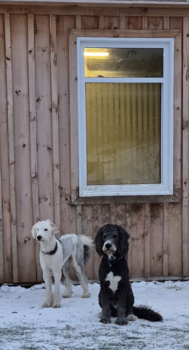 20251209 161156 768x1420