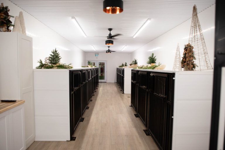 468954012 1107002028091723 3505530236710399020 n 1 768x513