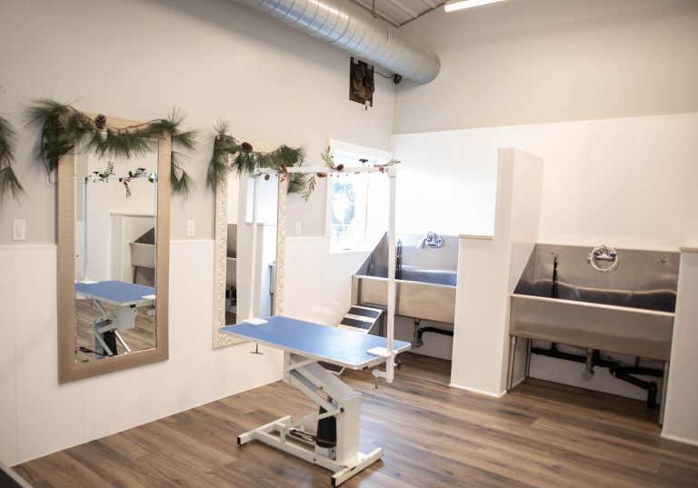 469081693 1107002761424983 8062189377502388683 n 768x537