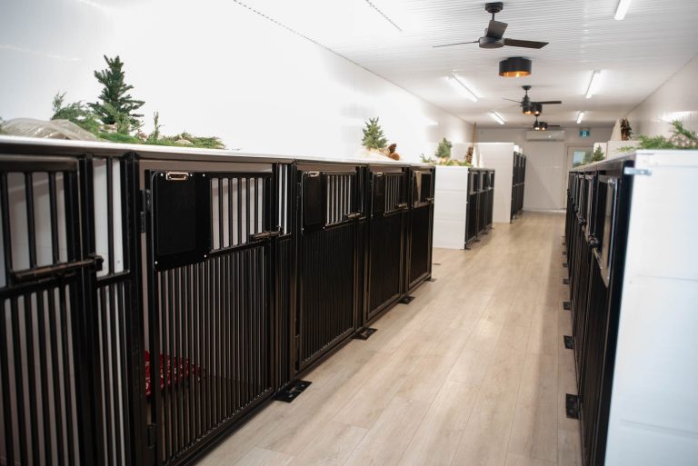 469221692 1107003154758277 4085872364787242562 n 768x513