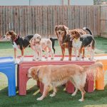 484547421 1187169033408355 8925297661391700577 n 150x150