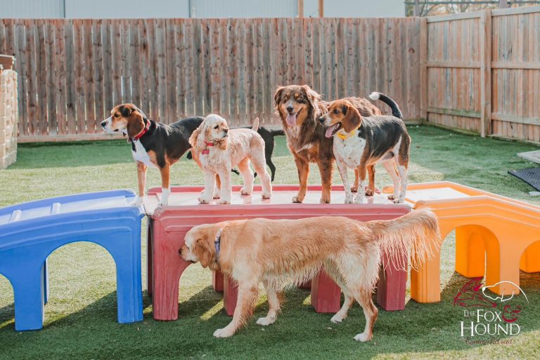 484547421 1187169033408355 8925297661391700577 n 768x513