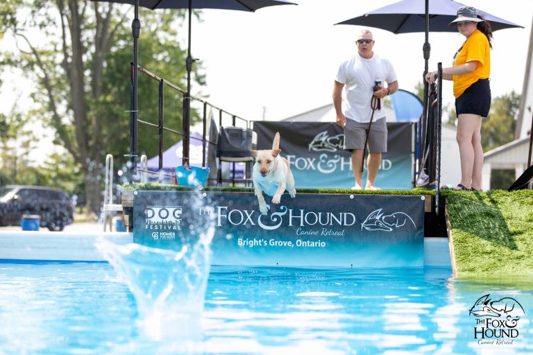 489955690 122248236674008555 5745853893499027192 n 768x512