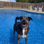 494816166 1143982487495905 5229100583820906552 n 150x150