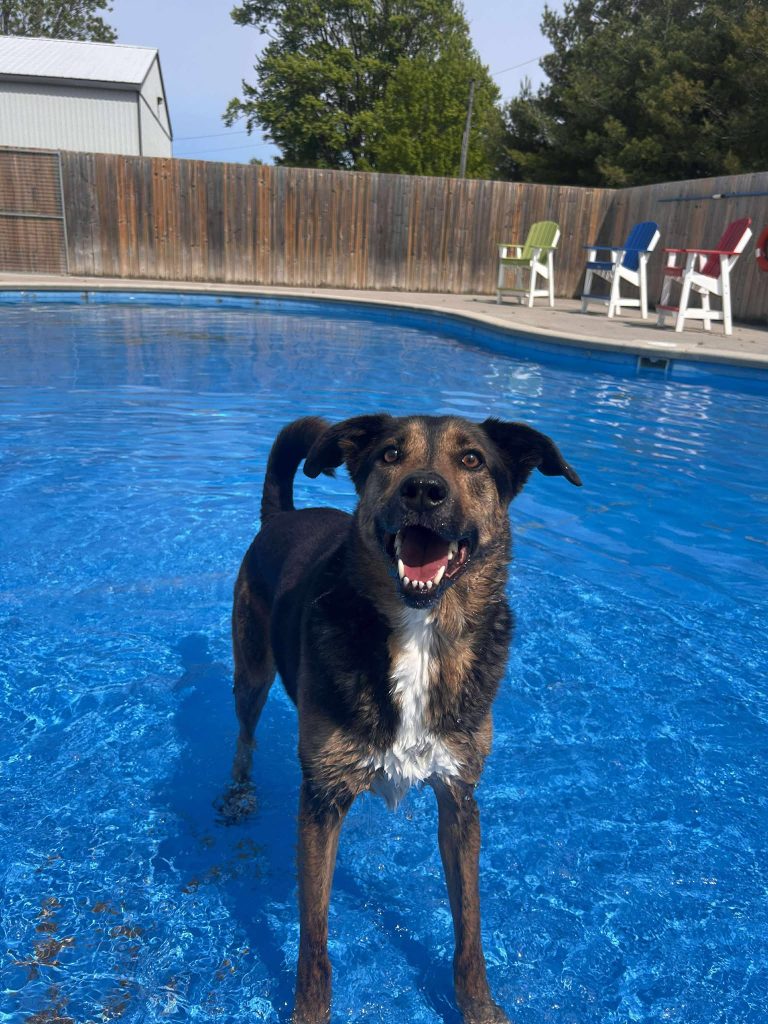 494816166 1143982487495905 5229100583820906552 n 768x1024