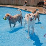 506475585 1270368698421721 5017820269268120692 n 150x150