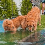 508949410 1277915721000352 8793556931864093732 n 150x150