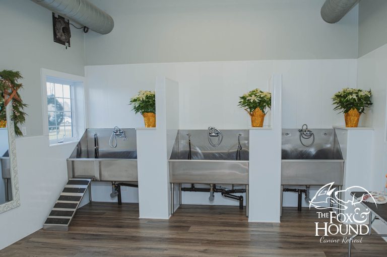 Bathing Room 2025 768x511