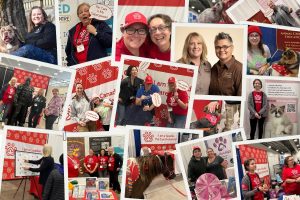 More Than Just a “Dog or Cat Lover” – Why Your Pet Deserves a Verified Pro