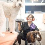 f52e4af9 b847 471a b8d4 2267830040db 150x150