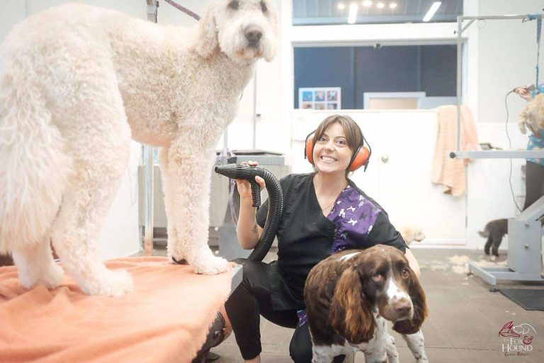 f52e4af9 b847 471a b8d4 2267830040db 768x512