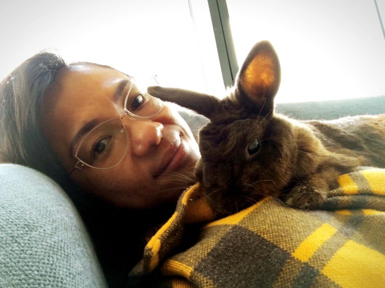 kat walk bnb downtown toronto dog walking pet sitting 768x576