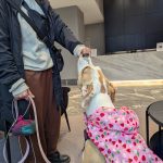 501323380 18514364557040252 7420556825465383329 n 150x150