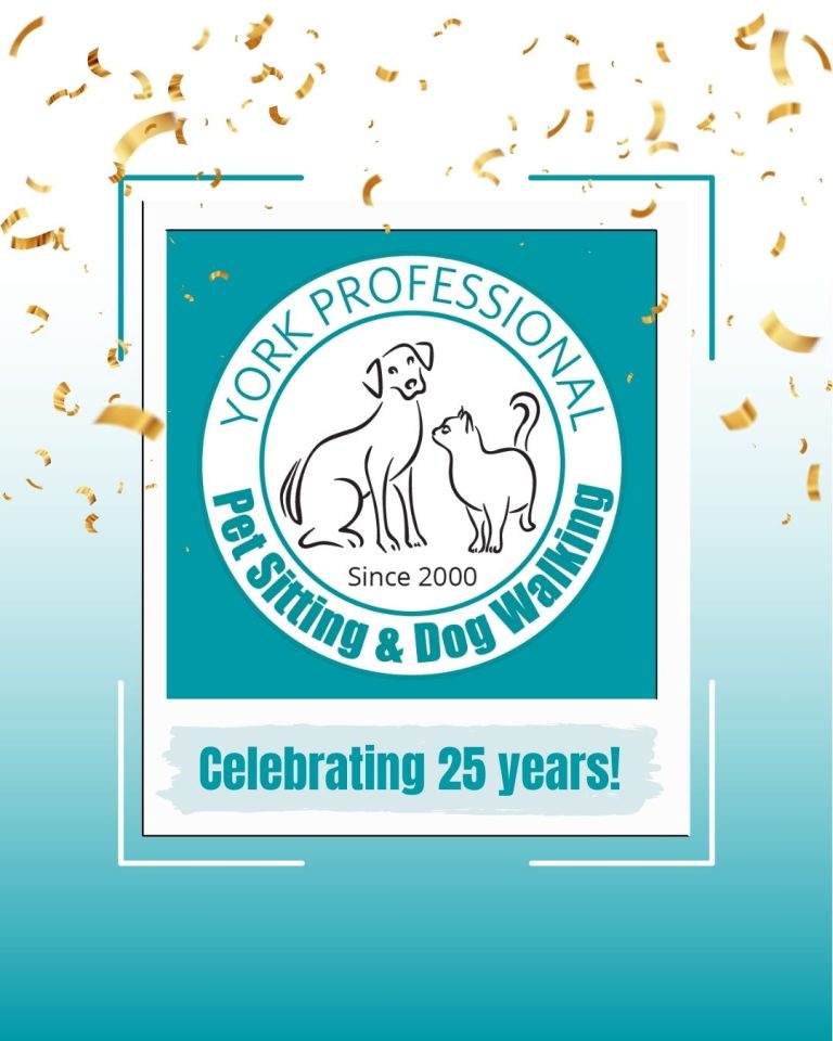 25th anniversary logo 768x960