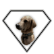 business logo no bg